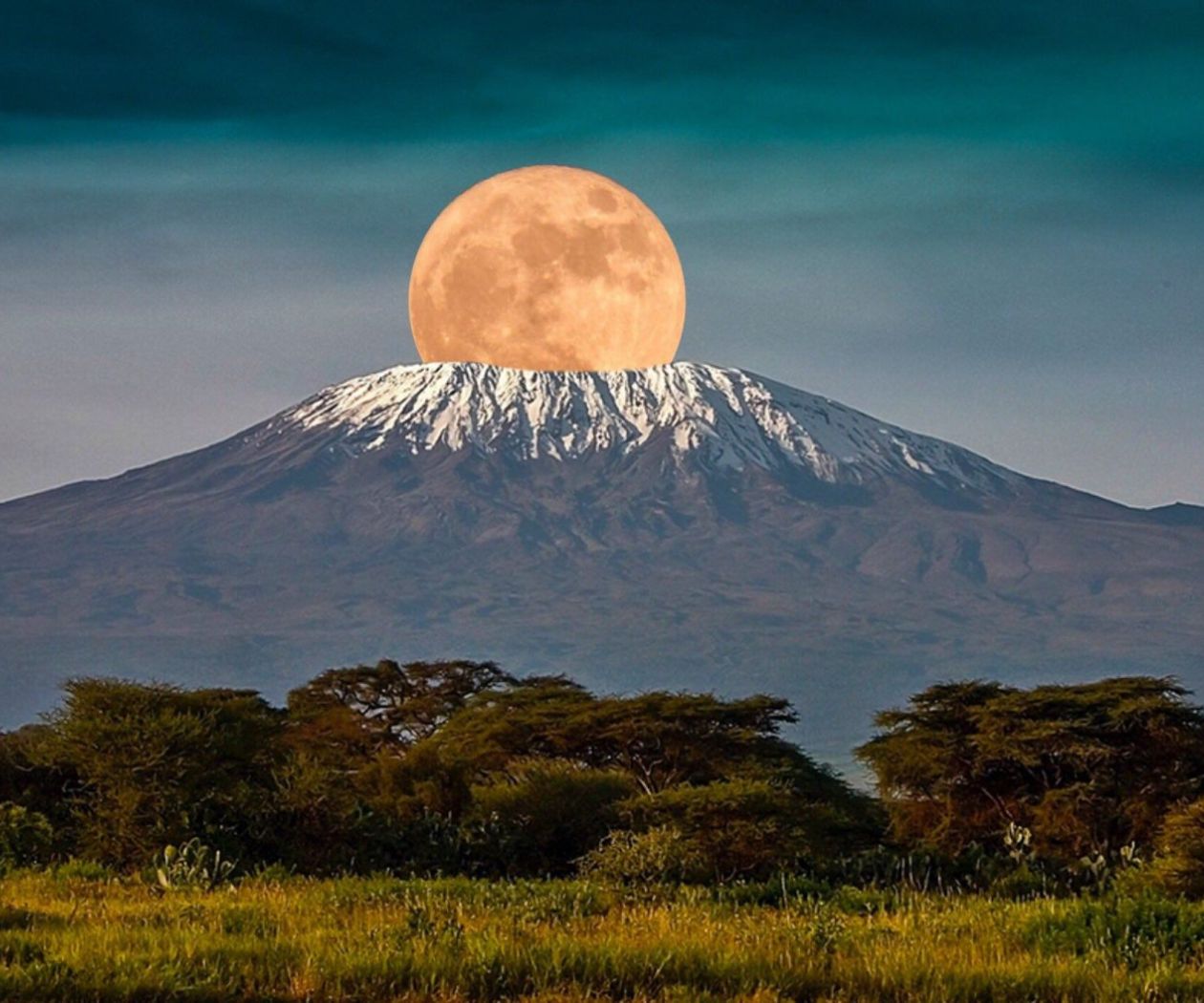 TREKKING EN ÁFRICA, ASCENSO AL KILIMANJARO